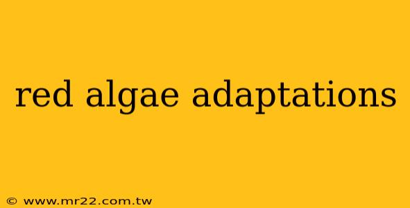 red algae adaptations