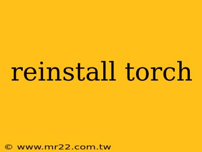 reinstall torch