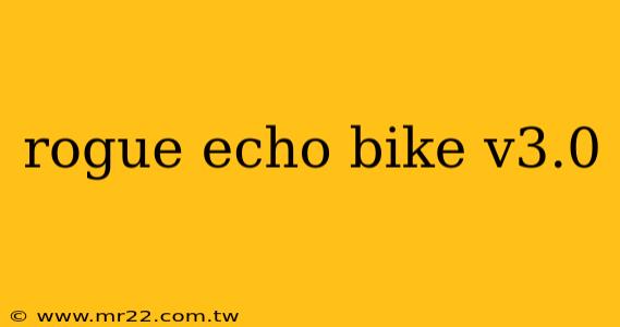 rogue echo bike v3.0