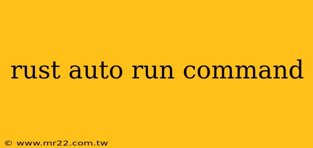 rust auto run command