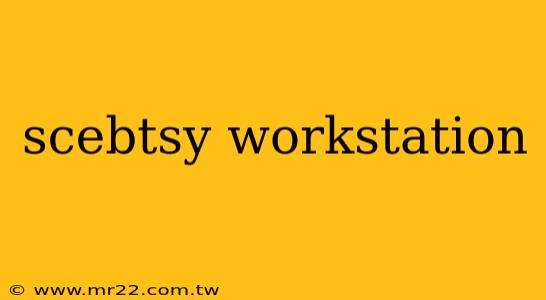 scebtsy workstation