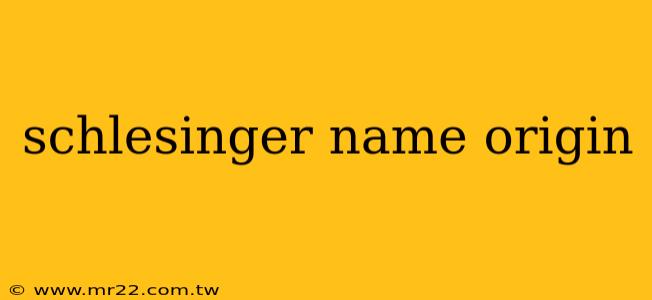 schlesinger name origin