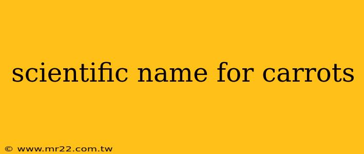 scientific name for carrots