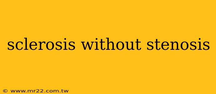sclerosis without stenosis