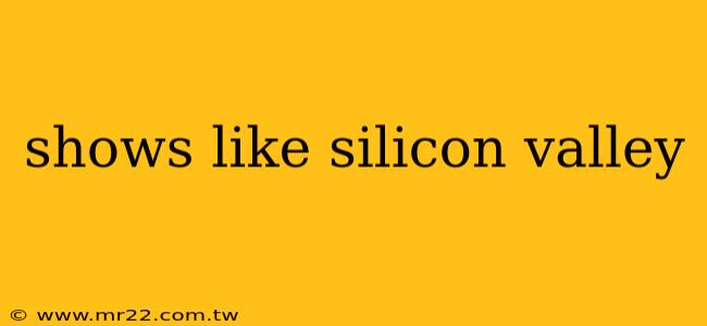 shows like silicon valley
