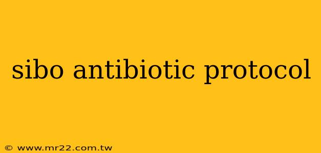 sibo antibiotic protocol