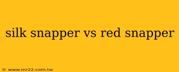 silk snapper vs red snapper