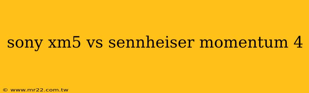 sony xm5 vs sennheiser momentum 4