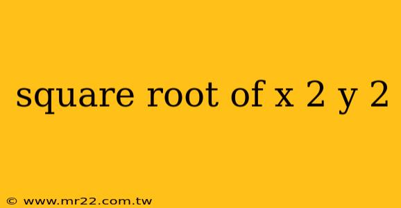 square root of x 2 y 2