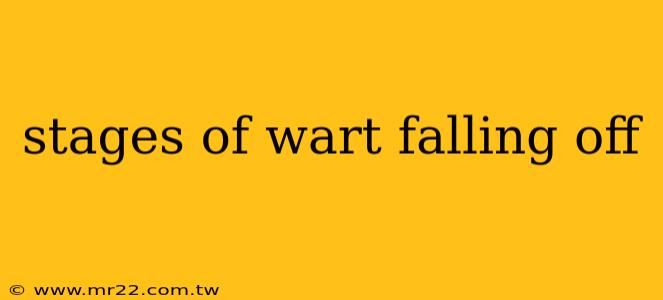 stages of wart falling off