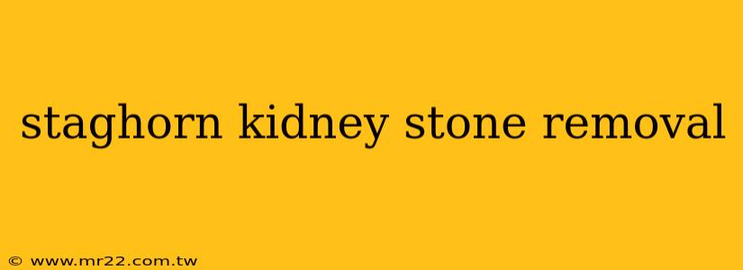 staghorn kidney stone removal