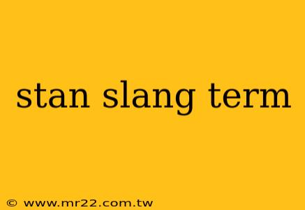stan slang term