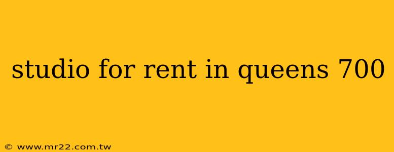 studio for rent in queens 700