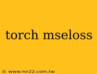 torch mseloss