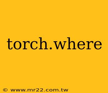 torch.where