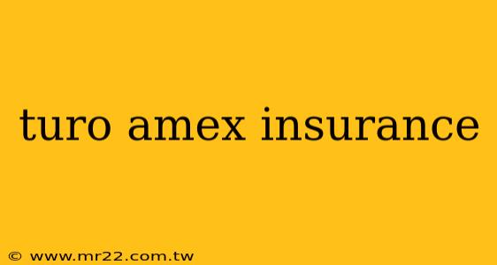 turo amex insurance