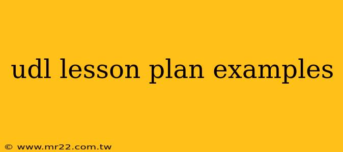 udl lesson plan examples