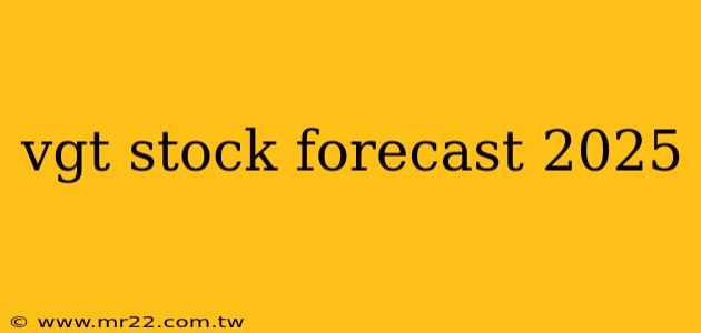 vgt stock forecast 2025