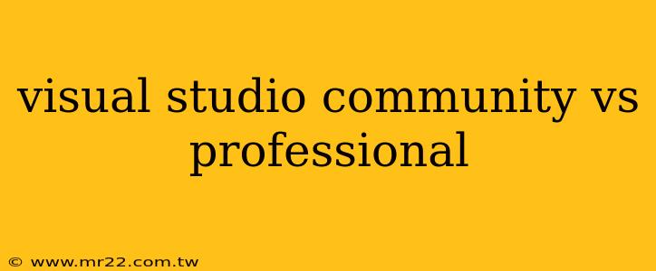 visual studio community vs professional