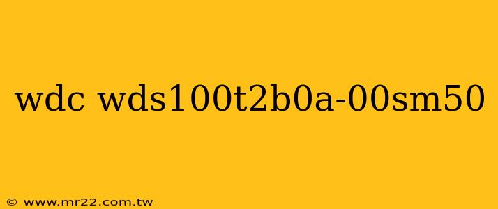 wdc wds100t2b0a-00sm50