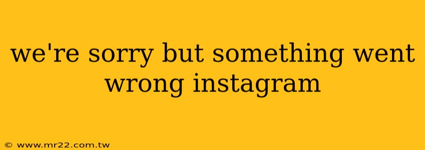 we're sorry but something went wrong instagram