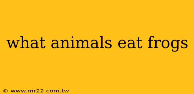 what animals eat frogs