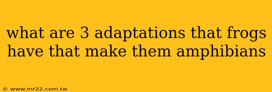 what are 3 adaptations that frogs have that make them amphibians