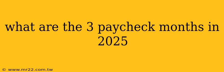 what are the 3 paycheck months in 2025
