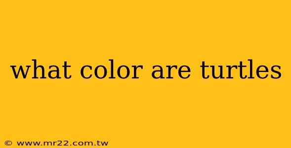 what color are turtles