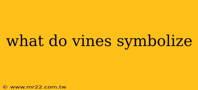 what do vines symbolize