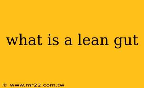what is a lean gut