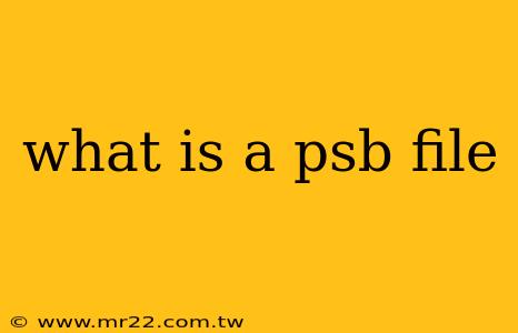 what is a psb file