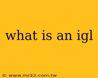 what is an igl
