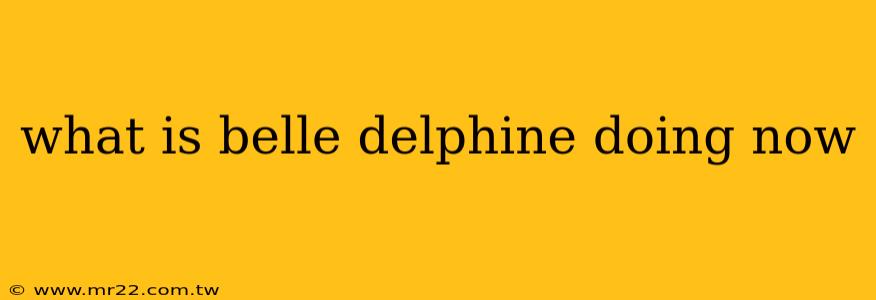 what is belle delphine doing now