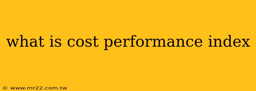 what is cost performance index