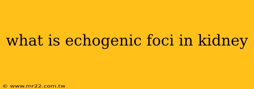 what is echogenic foci in kidney