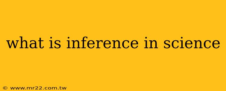 what is inference in science