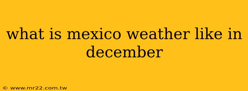 what is mexico weather like in december