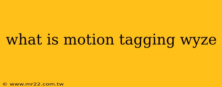 what is motion tagging wyze