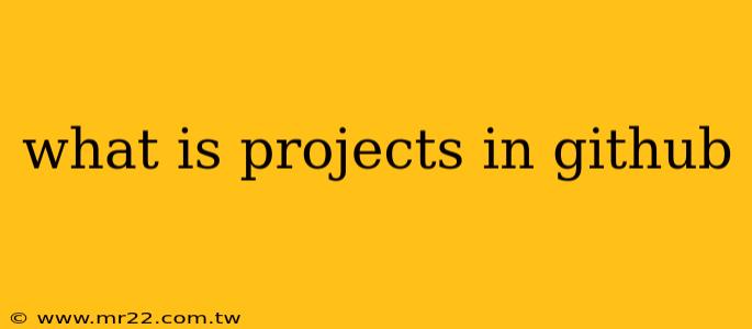what is projects in github