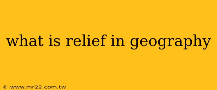 what is relief in geography