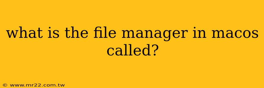 what is the file manager in macos called?