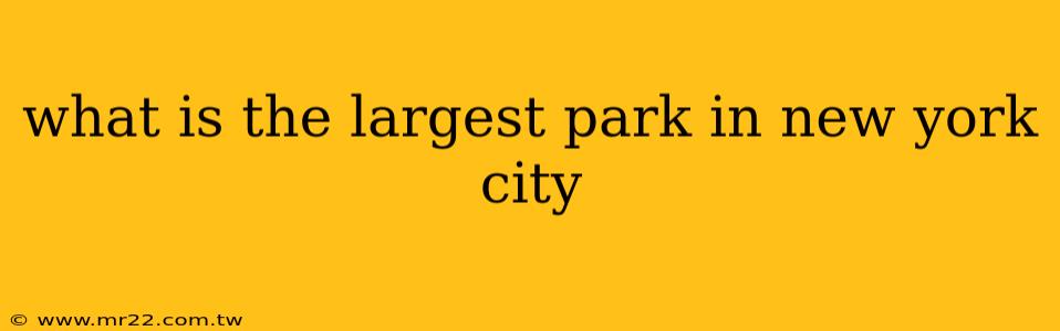what is the largest park in new york city