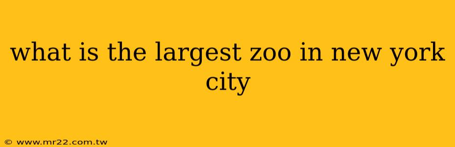 what is the largest zoo in new york city