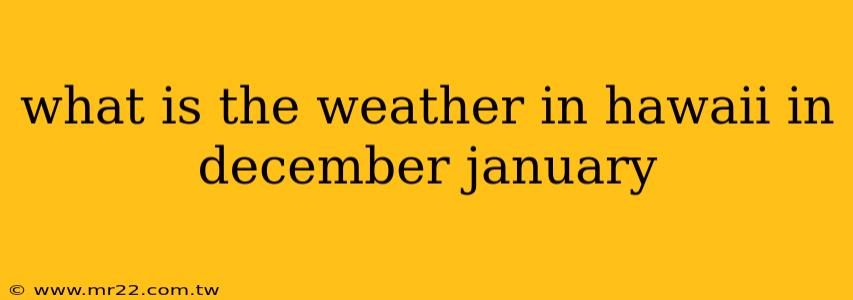 what is the weather in hawaii in december january