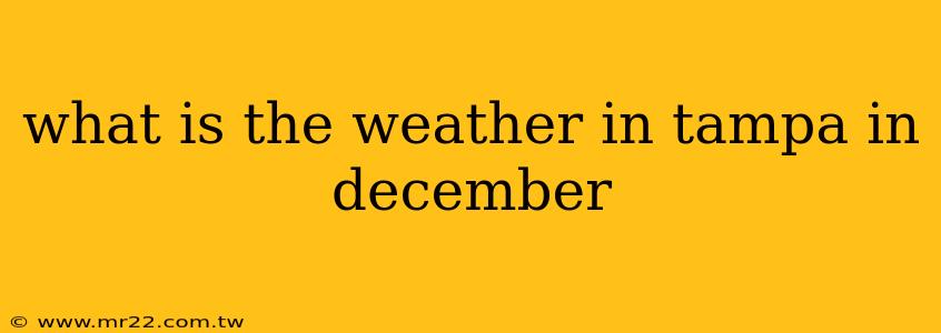 what is the weather in tampa in december