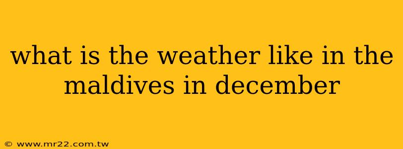what is the weather like in the maldives in december