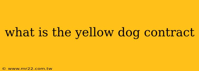 what is the yellow dog contract