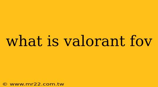 what is valorant fov