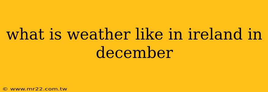 what is weather like in ireland in december
